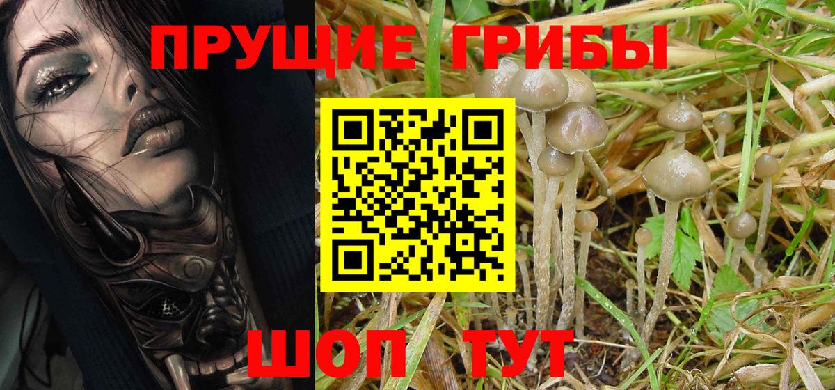 Псилоцибиновые грибы мухоморы Кимры